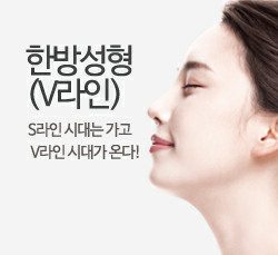ѹ漺 V