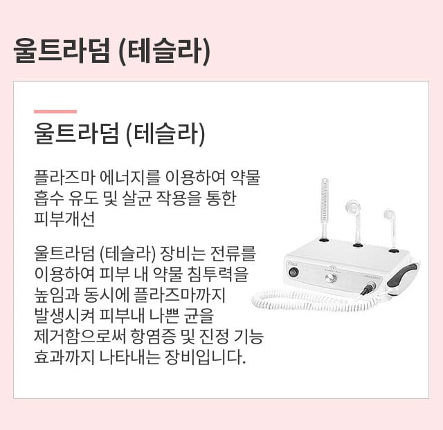울트라덤(테슬라)