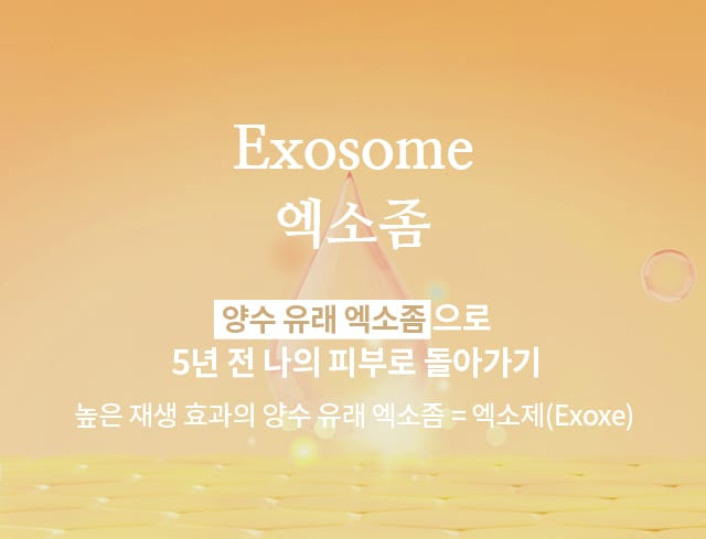 엑소좀(Exosome)