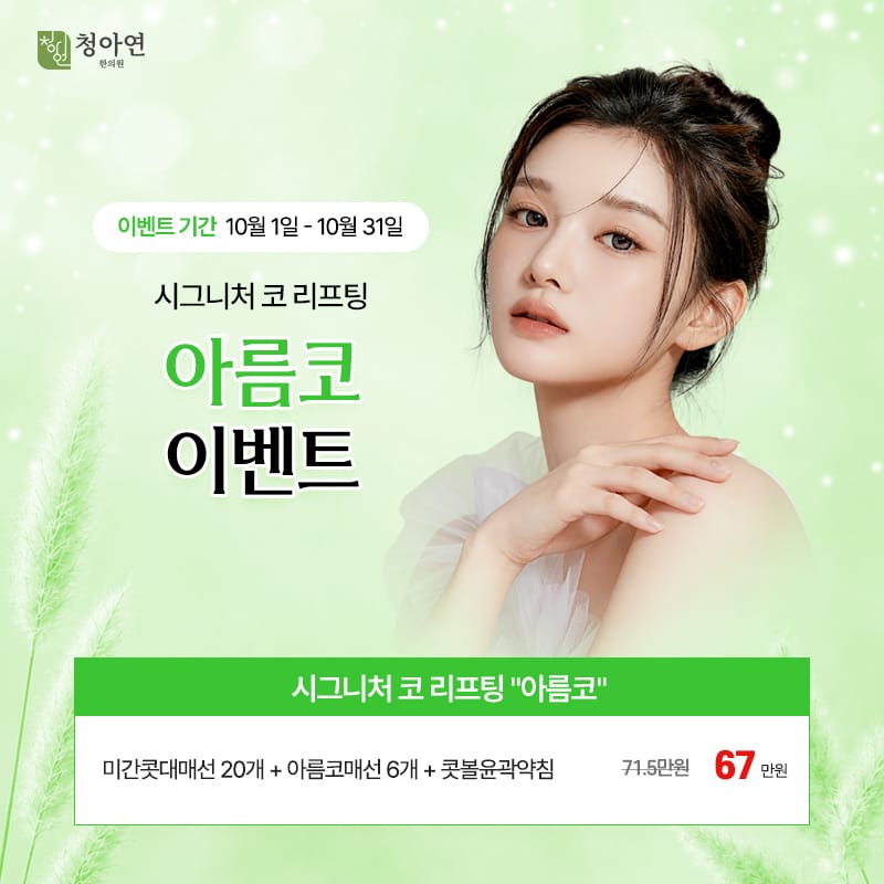 시그니처 코 리프팅 아름코