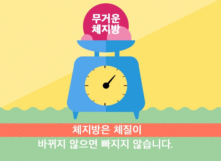 다이어트_3.jpg