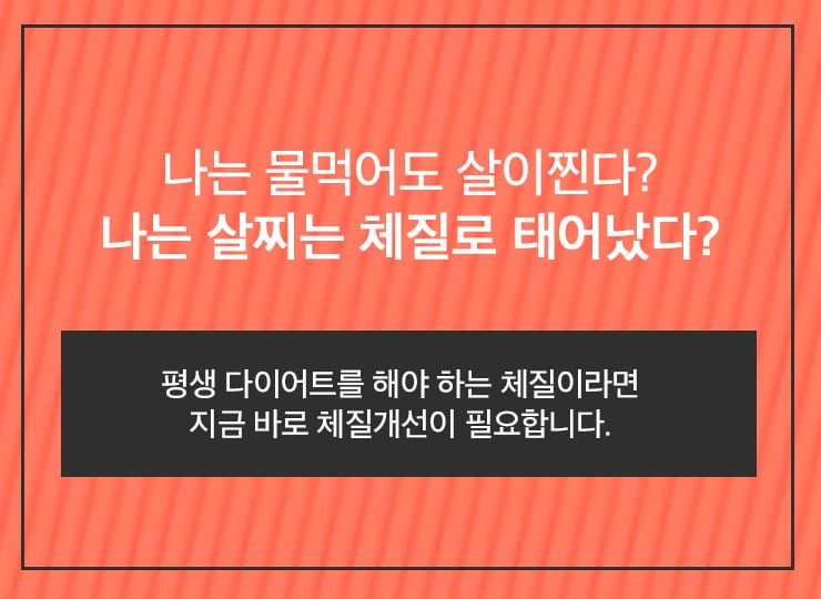 다이어트_4.jpg