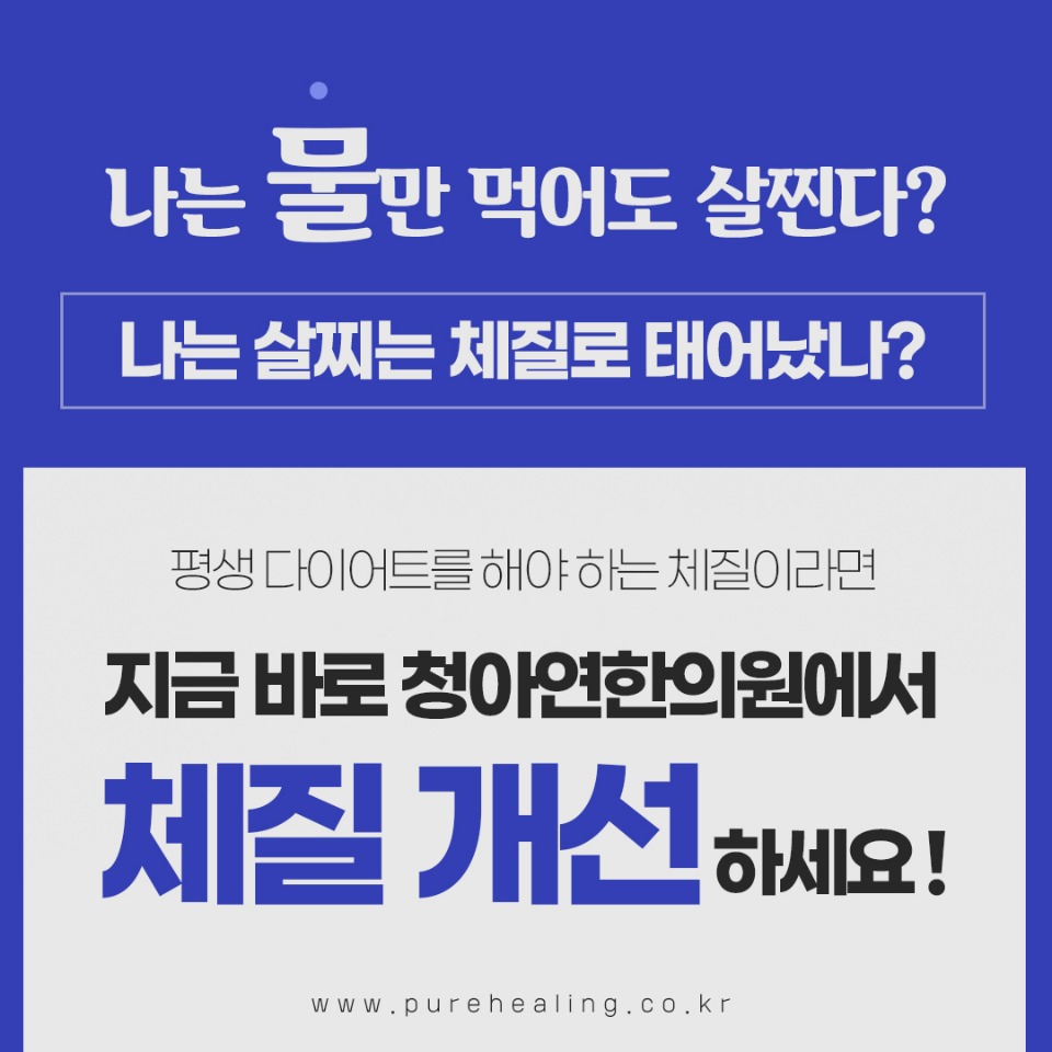 (인)다이어트3.jpg