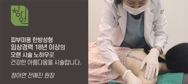카테고리:바디리프팅/다이어트 이미지